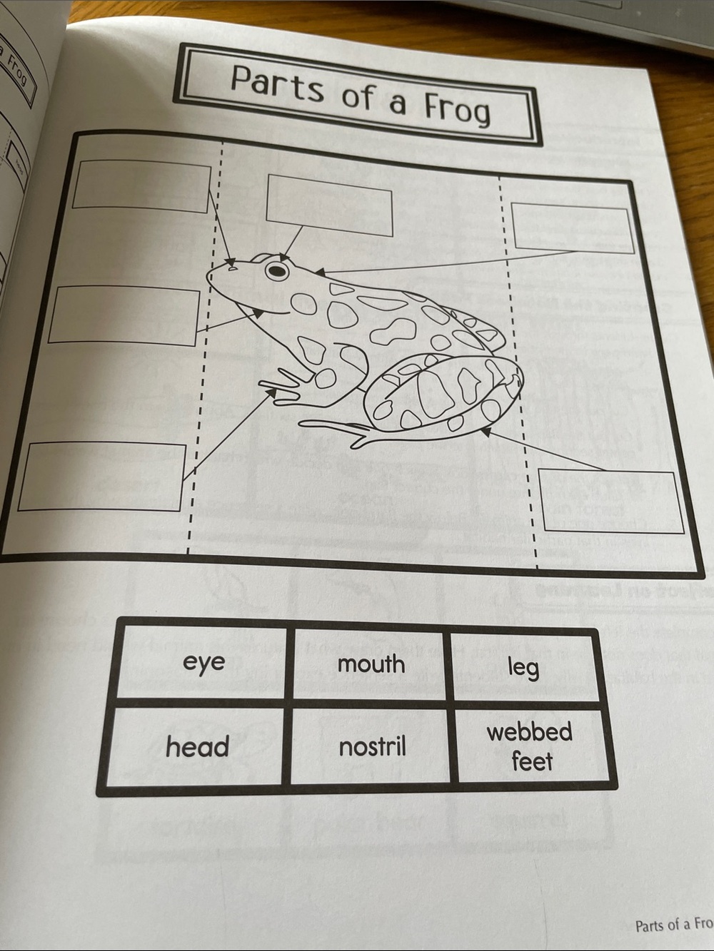 Interactive Notebooks Science Grade 1 NEW - Picture 8 of 13